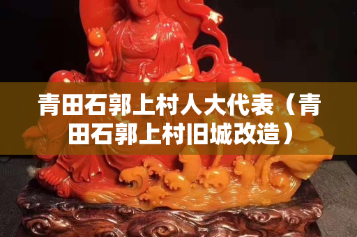 青田石郭上村人大代表（青田石郭上村旧城改造）