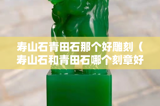 寿山石青田石那个好雕刻（寿山石和青田石哪个刻章好）