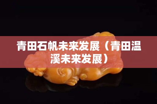 青田石帆未来发展（青田温溪未来发展）