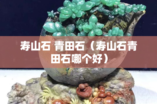 寿山石 青田石（寿山石青田石哪个好）