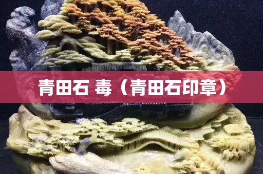 青田石 毒（青田石印章）