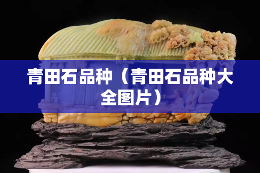 青田石品种（青田石品种大全图片）