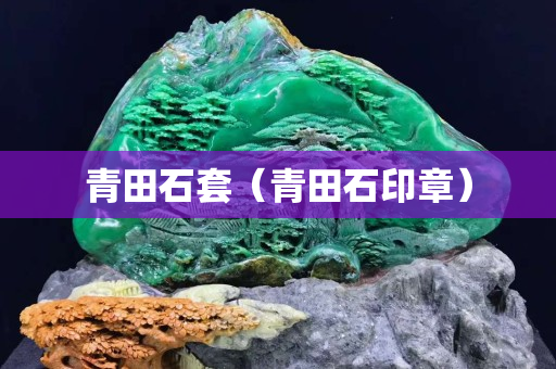 青田石套（青田石印章）
