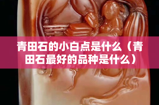 青田石的小白点是什么（青田石最好的品种是什么）