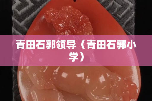 青田石郭领导（青田石郭小学）