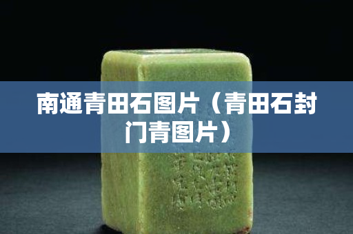 南通青田石图片（青田石封门青图片）