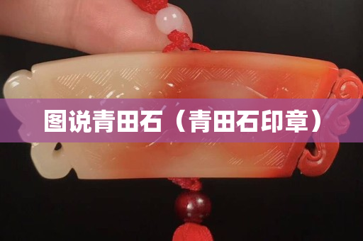 图说青田石（青田石印章）