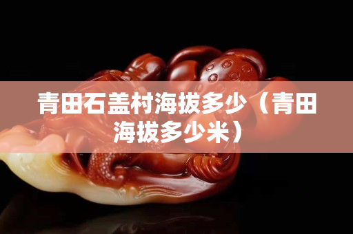 青田石盖村海拔多少（青田海拔多少米）