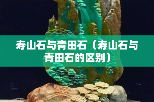 寿山石与青田石（寿山石与青田石的区别）