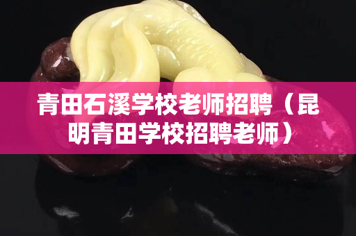 青田石溪学校老师招聘（昆明青田学校招聘老师）