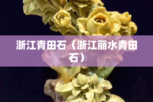 浙江青田石（浙江丽水青田石）