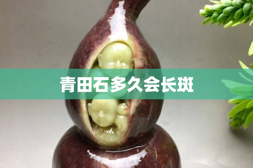 青田石多久会长斑