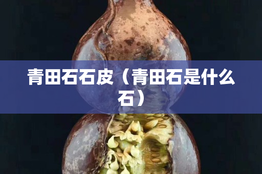 青田石石皮（青田石是什么石）