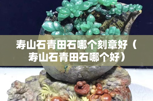 寿山石青田石哪个刻章好（寿山石青田石哪个好）