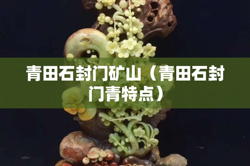 青田石封门矿山（青田石封门青特点）