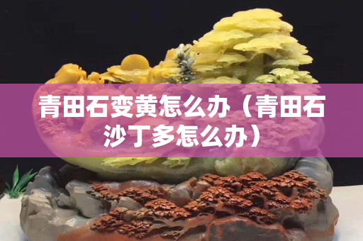 青田石变黄怎么办（青田石沙丁多怎么办）