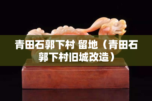 青田石郭下村 留地（青田石郭下村旧城改造）