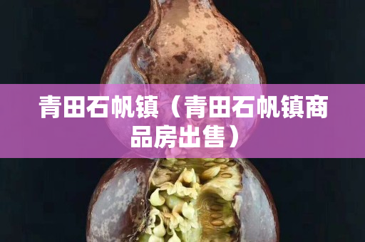 青田石帆镇（青田石帆镇商品房出售）