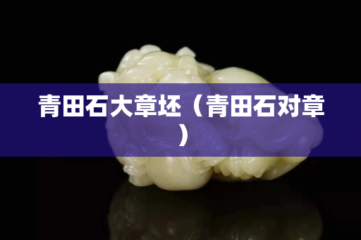 青田石大章坯（青田石对章）