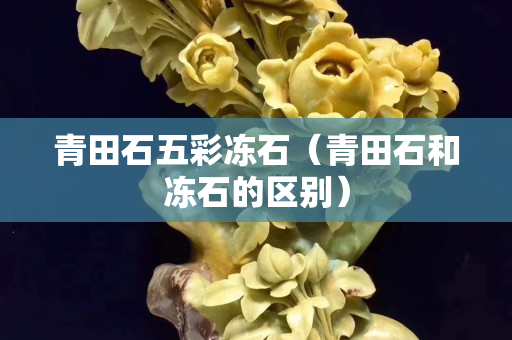 青田石五彩冻石（青田石和冻石的区别）