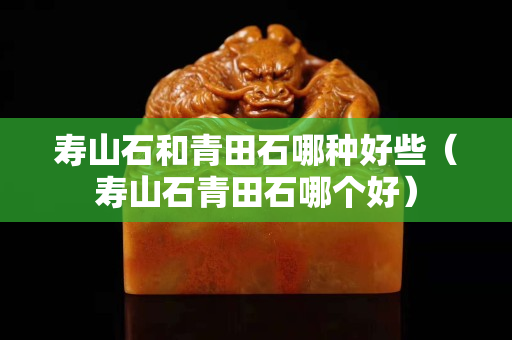 寿山石和青田石哪种好些（寿山石青田石哪个好）