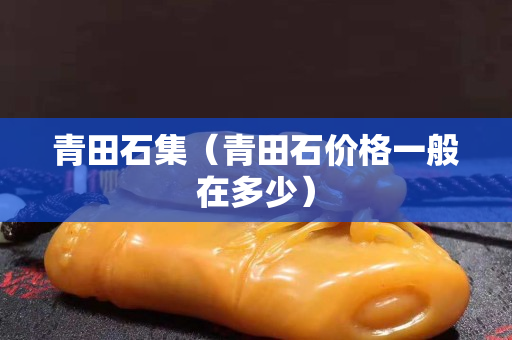 青田石集（青田石价格一般在多少）