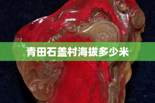 青田石盖村海拔多少米