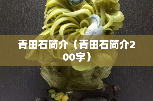 青田石简介（青田石简介200字）