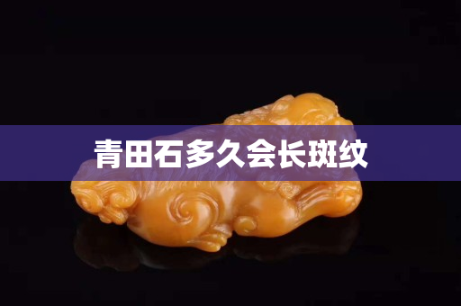 青田石多久会长斑纹