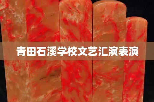 青田石溪学校文艺汇演表演