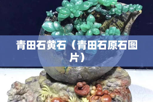 青田石黄石（青田石原石图片）