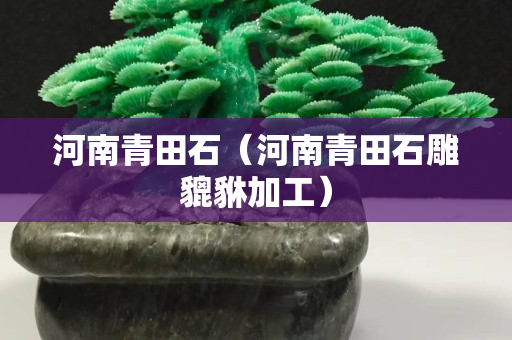 河南青田石（河南青田石雕貔貅加工）