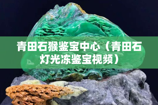 青田石猴鉴宝中心（青田石灯光冻鉴宝视频）