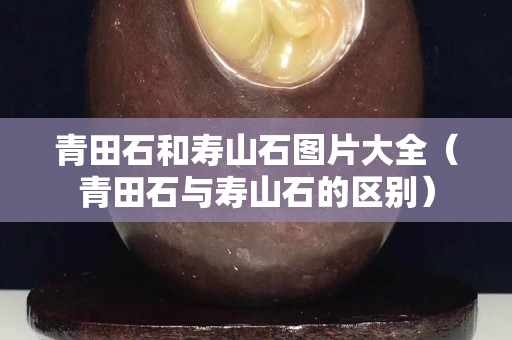 青田石和寿山石图片大全（青田石与寿山石的区别）