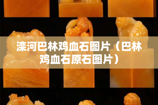 滦河巴林鸡血石图片（巴林鸡血石原石图片）