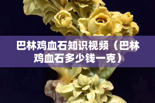 巴林鸡血石知识视频（巴林鸡血石多少钱一克）