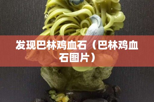 发现巴林鸡血石（巴林鸡血石图片）