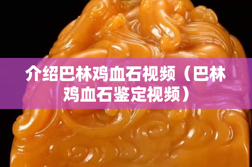 介绍巴林鸡血石视频（巴林鸡血石鉴定视频）