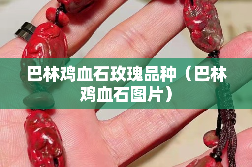 巴林鸡血石玫瑰品种（巴林鸡血石图片）