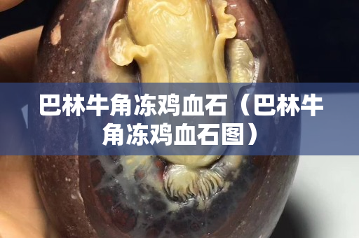 巴林牛角冻鸡血石（巴林牛角冻鸡血石图）