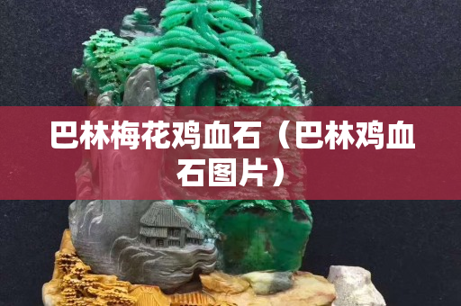 巴林梅花鸡血石（巴林鸡血石图片）