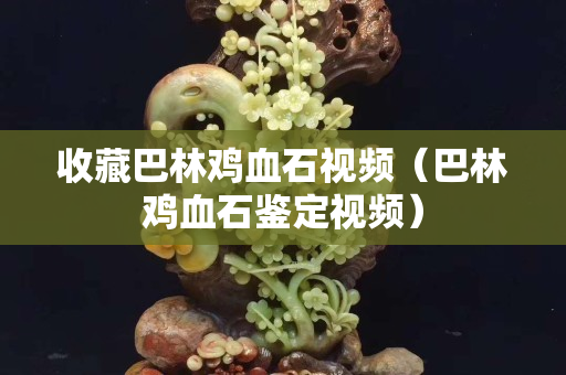 收藏巴林鸡血石视频（巴林鸡血石鉴定视频）