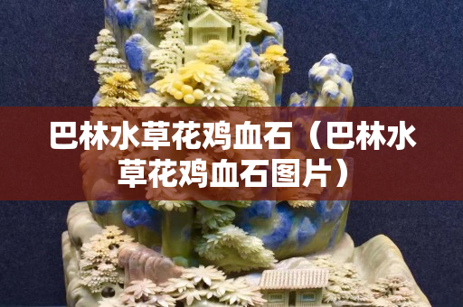 巴林水草花鸡血石（巴林水草花鸡血石图片）