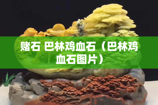 赌石 巴林鸡血石（巴林鸡血石图片）