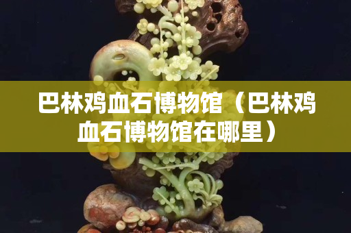 巴林鸡血石博物馆（巴林鸡血石博物馆在哪里）