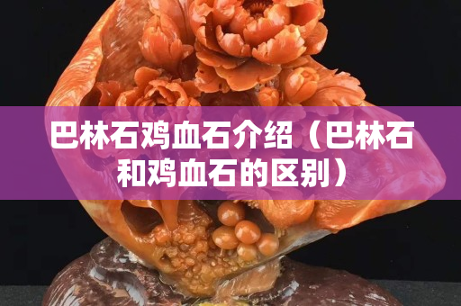 巴林石鸡血石介绍（巴林石和鸡血石的区别）