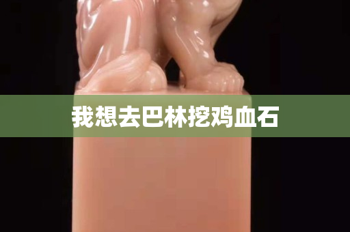 我想去巴林挖鸡血石