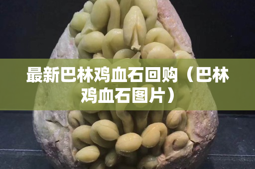 最新巴林鸡血石回购（巴林鸡血石图片）