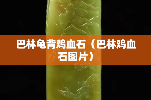 巴林龟背鸡血石（巴林鸡血石图片）
