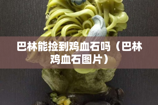 巴林能捡到鸡血石吗（巴林鸡血石图片）